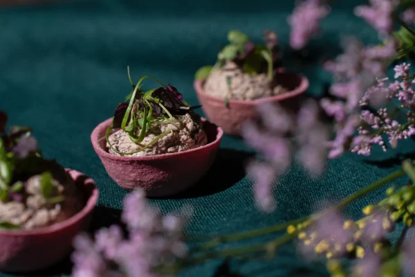 Krepšelis su keptų grybų kremu dehidratuota alyvuogių žeme bei mikrožalumynais